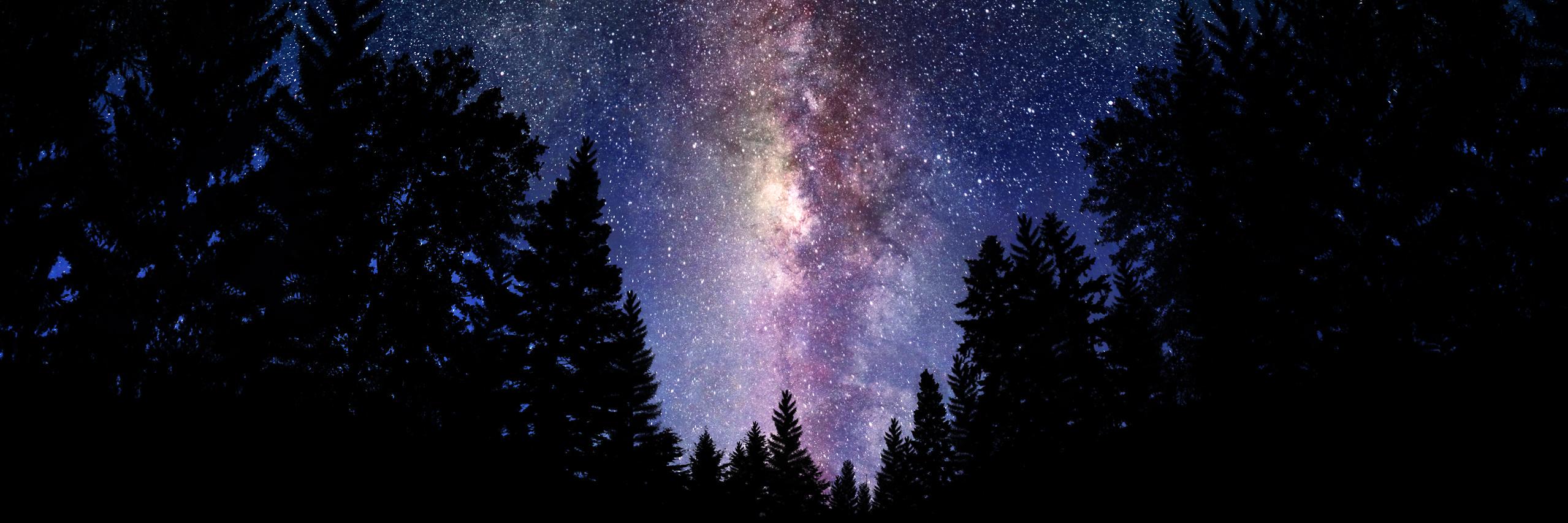 ArlyExperiences's profile banner image