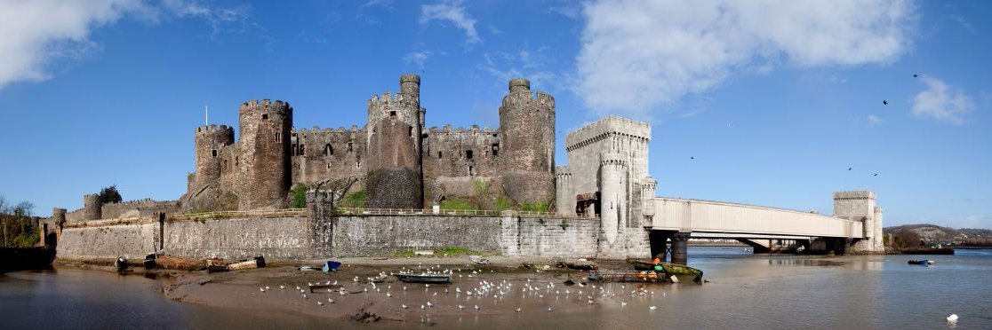 Karen Anfield banner