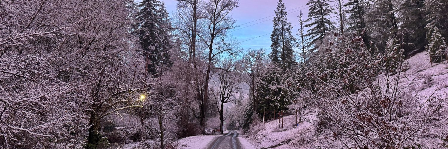 ⛧ Shadow ⛧ banner