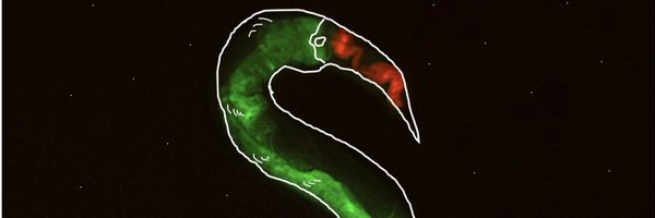 AnneshaGhosh14 Profile Banner