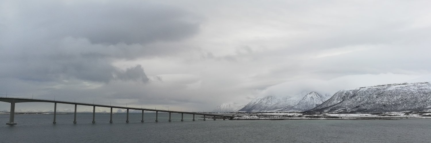 Mikhail Latonin banner