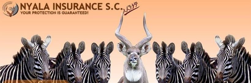 InsuranceNyala's profile banner image