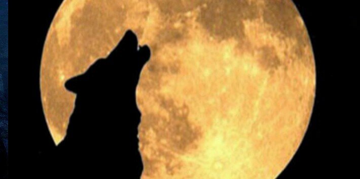 Francisem3's profile banner image