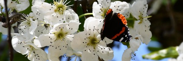 akcozm Profile Banner