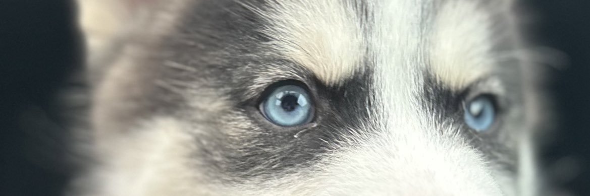 HugoL3V3L's profile banner image