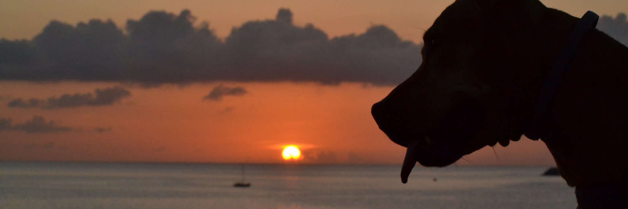 Pitán Pekita banner