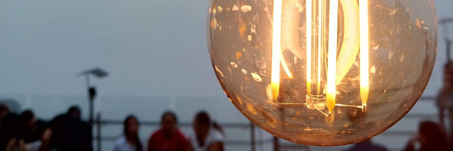 Panda rock 🐼🎸 banner