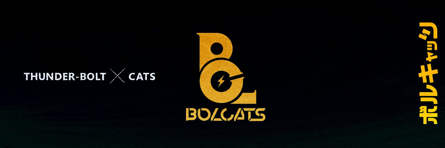 BOLCATS banner