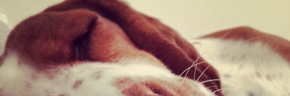 estjoberns's profile banner image