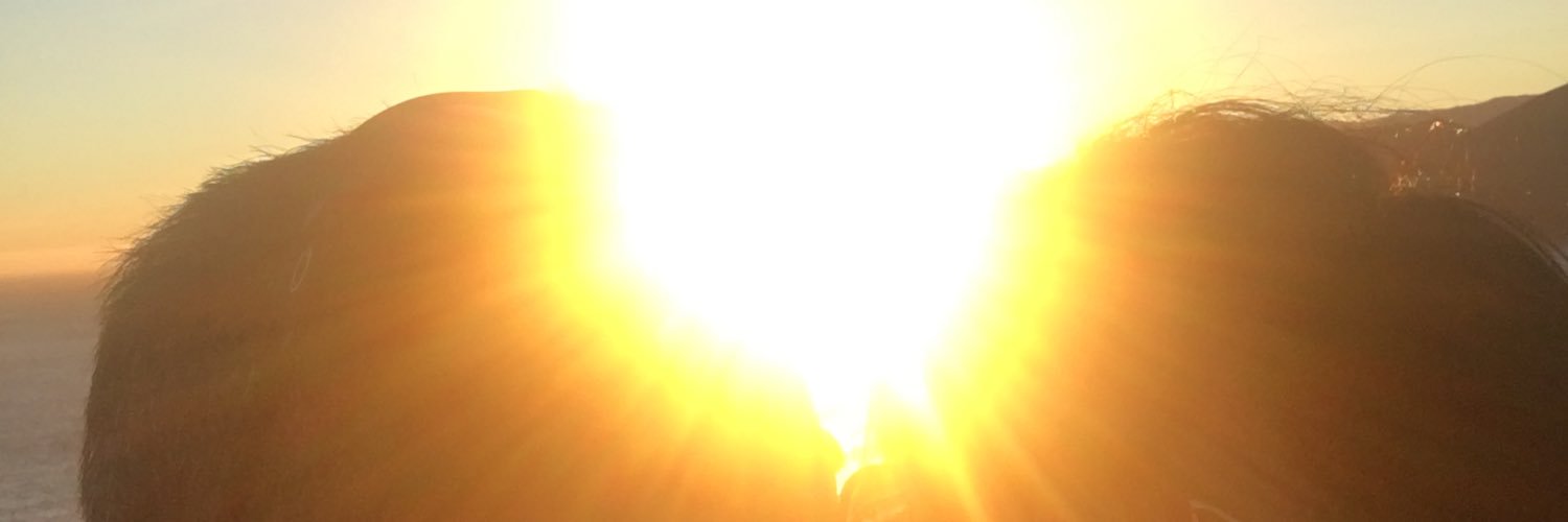 Viviana J Serna banner
