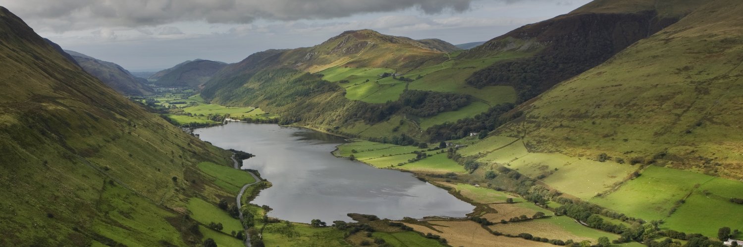 Damned Dutchman banner