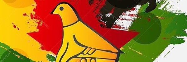 PaidamoyoMutsv1 Profile Banner