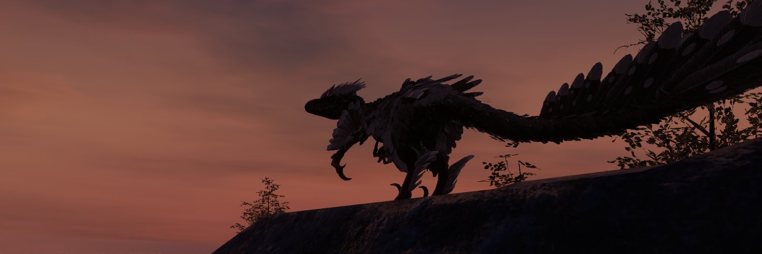 caor_1's profile banner image
