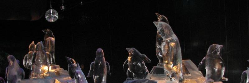 Lady Stoned Heart banner