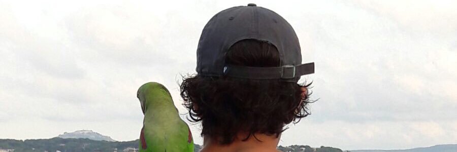 CortoPeyron's profile banner image