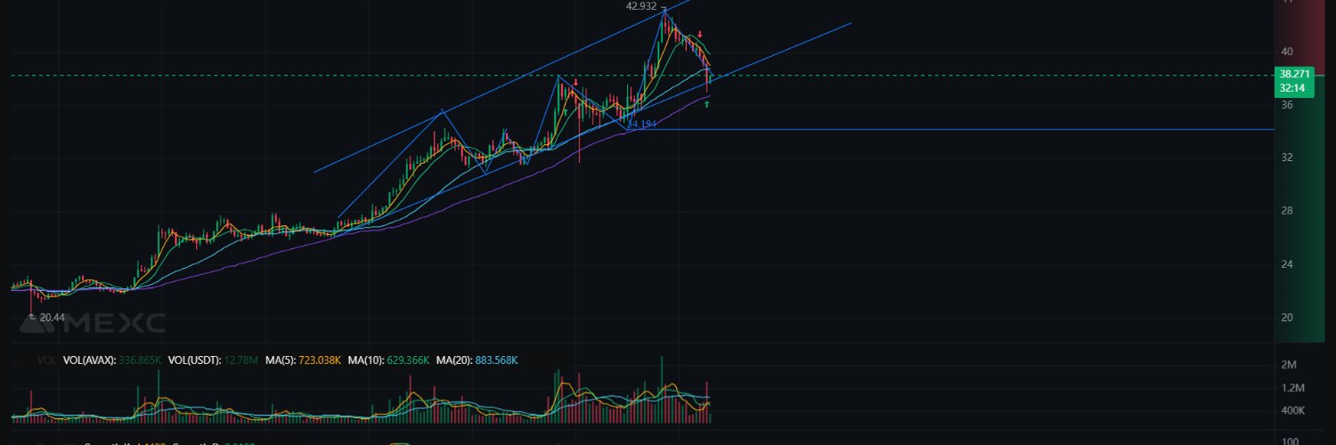 xd_blindwolf_ banner