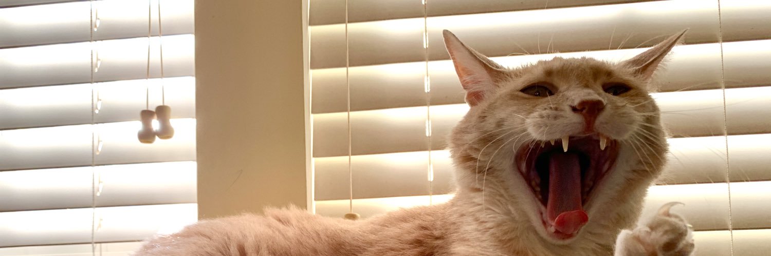 Mango banner
