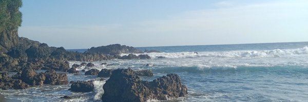 ciaellyf Profile Banner