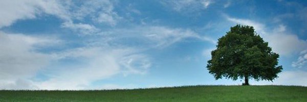srkurobey2000 Profile Banner