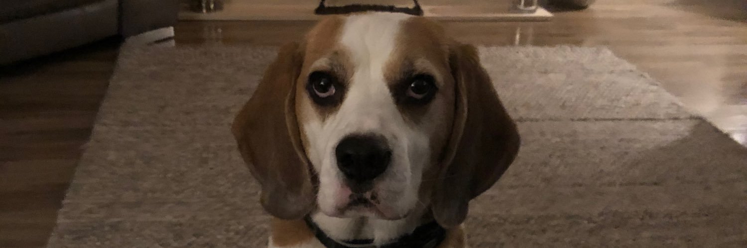 jim.j🇺🇸🇺🇦🏴󠁧󠁢󠁳󠁣󠁴󠁿 #JusticeMatters ⚖️ banner