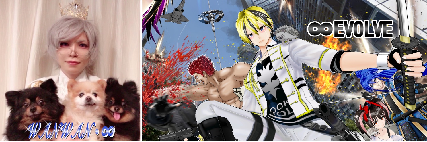 wanwan_infinity's profile banner image