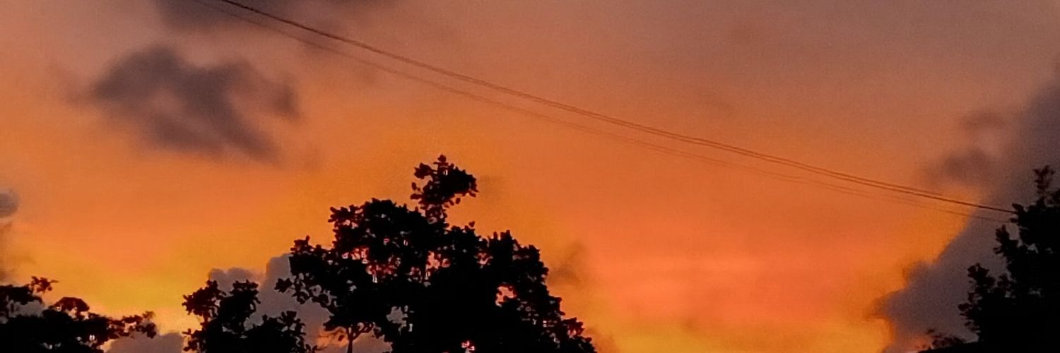 fnywave's profile banner image