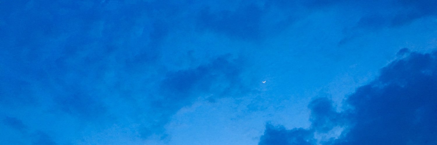 bzluga's profile banner image