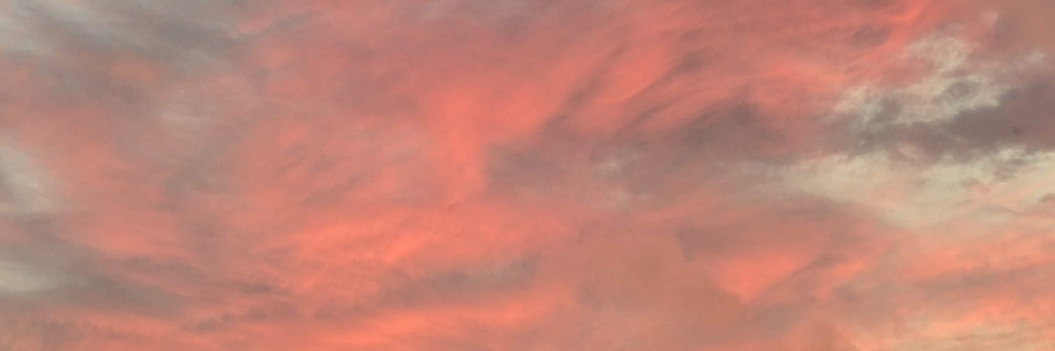 Tiffany Burrows banner