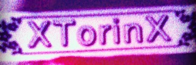 XTorinX's profile banner image