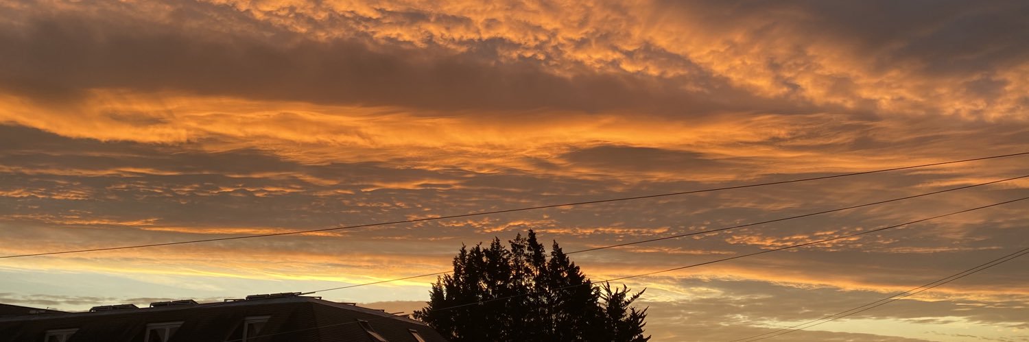 Stop Israel committing genocide! #FtheWEF banner