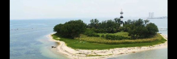 SgvMx Profile Banner