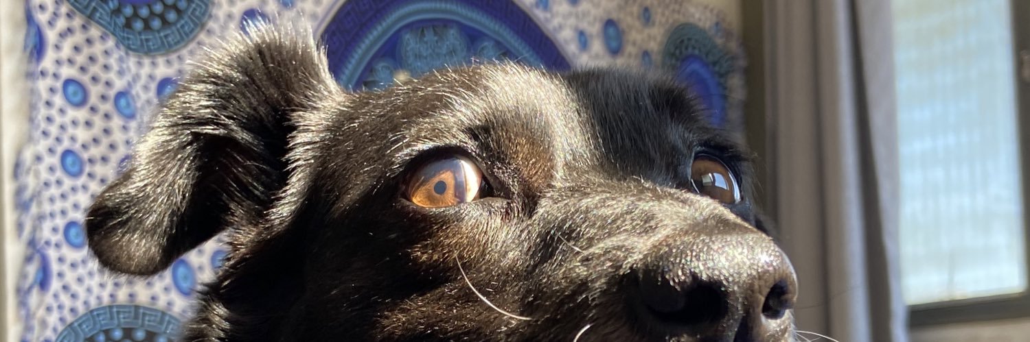 Nikolii3's profile banner image