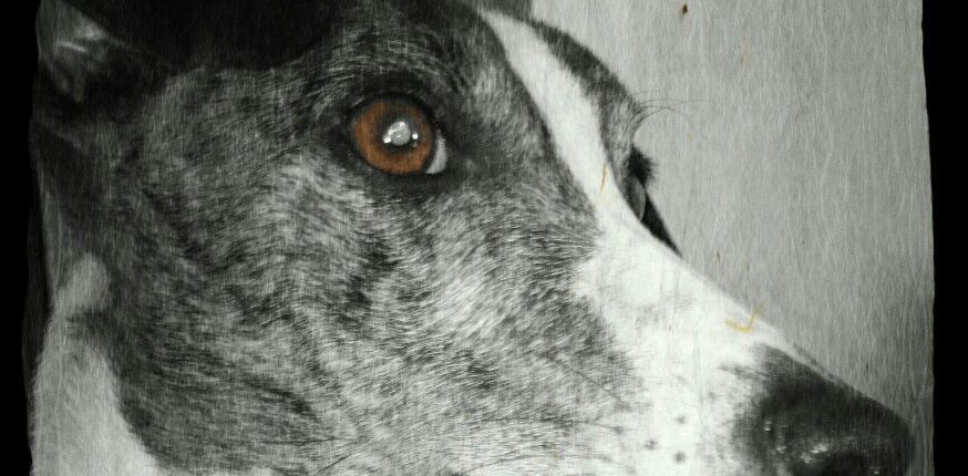 ColinR44's profile banner image