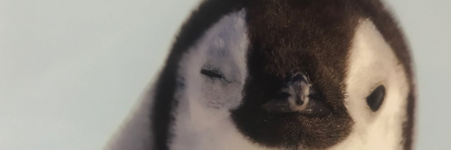 sayananana's profile banner image