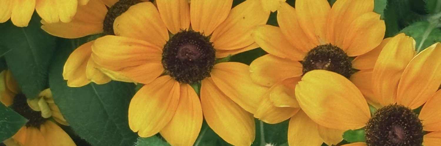 ᑕᕼᗩᗰᑌ７７７'s banner