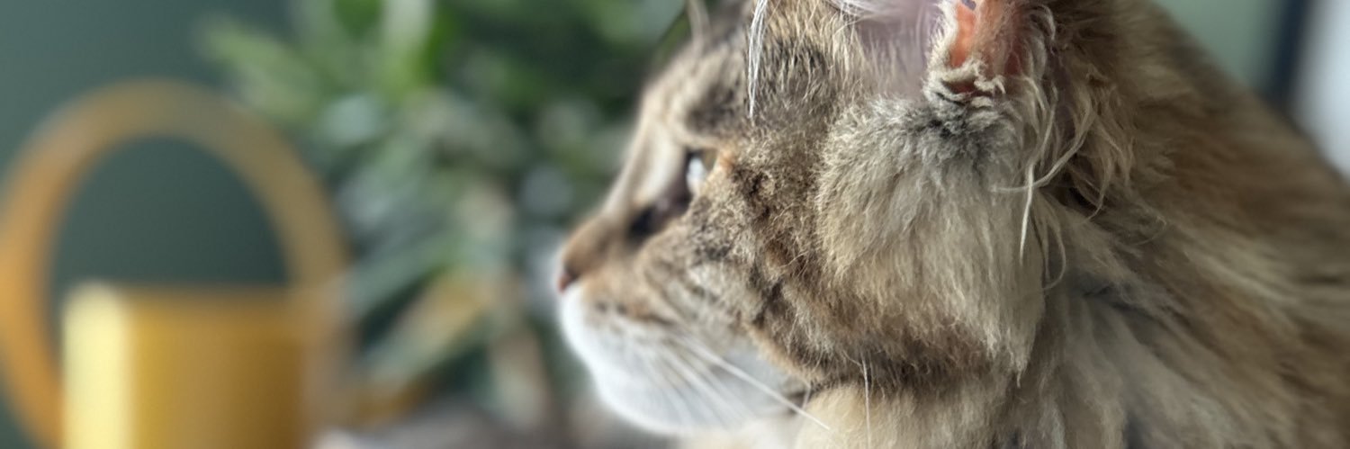 RobertsCW's profile banner image