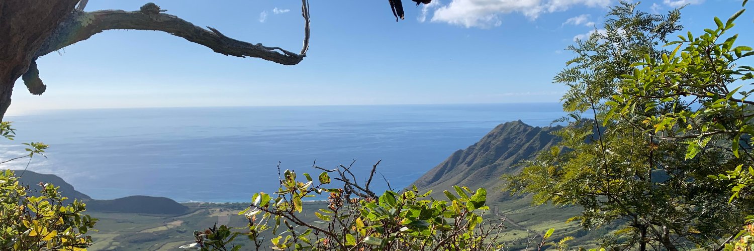 PonoPacific's profile banner image