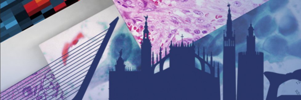 SEAP-IAP's banner