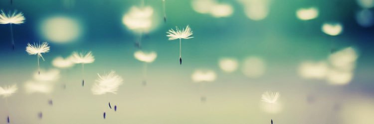 mldzt's profile banner image