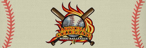 ArizonaBat Profile Banner