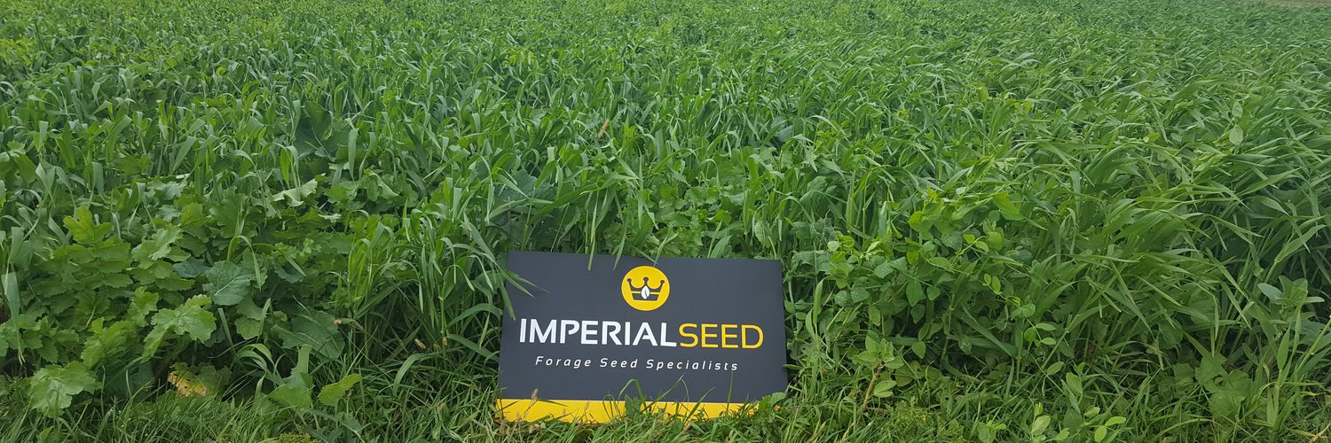 Sean Schnell banner
