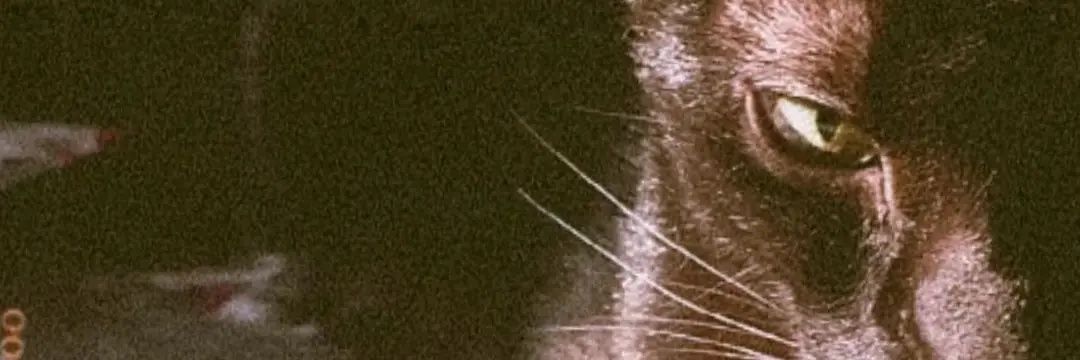 Artyvern's profile banner image
