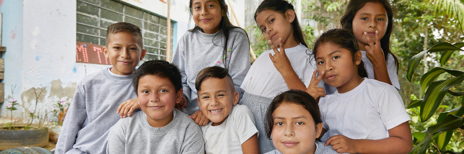 Enseña Ecuador banner