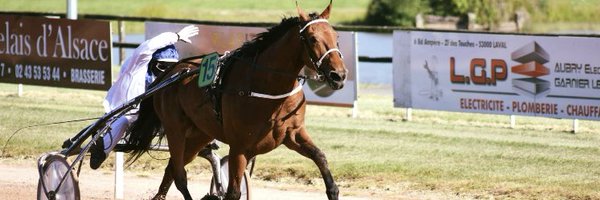 BigeonW Profile Banner