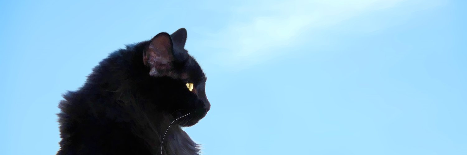 LeChatMitten's profile banner image