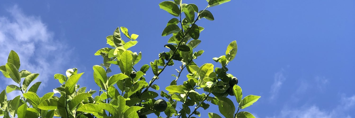 Jeremy Yuille 余伟博士 banner