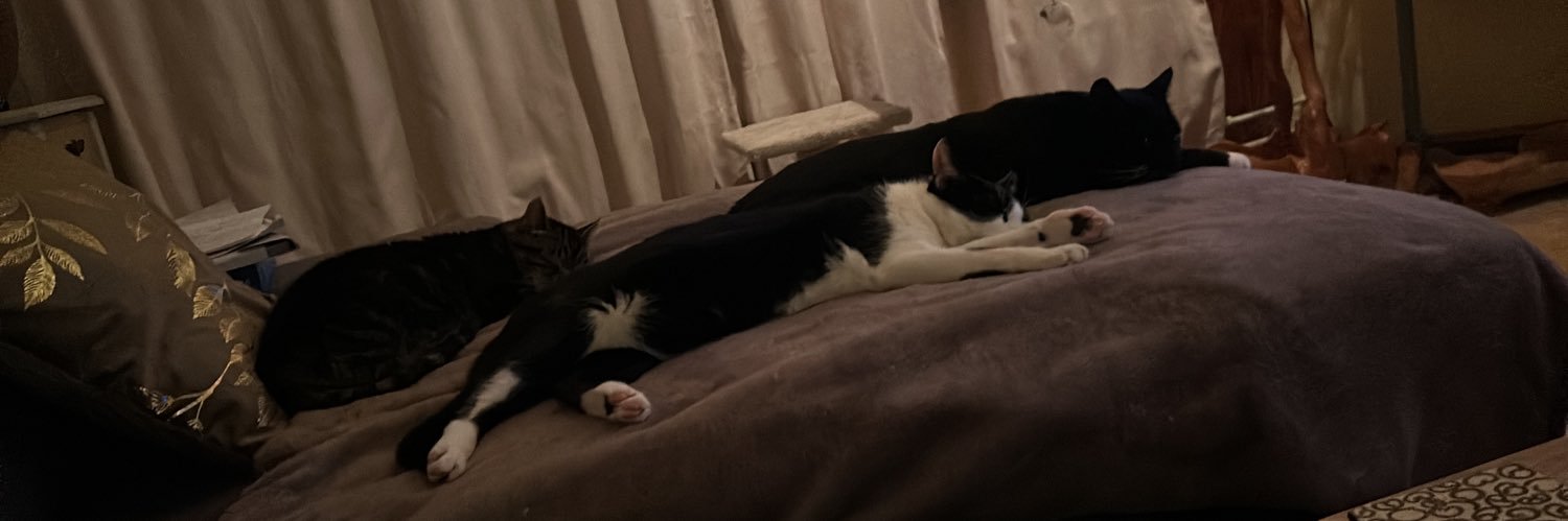 RielvanJet🍋 banner