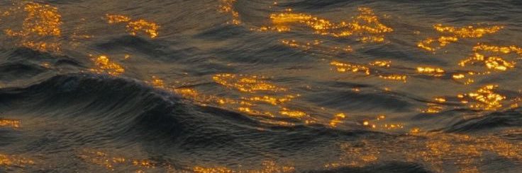 laaupardo's profile banner image