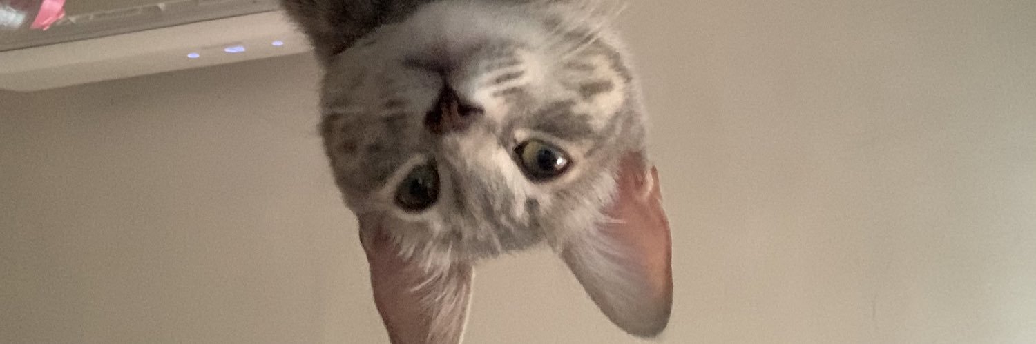 GladysJus's profile banner image
