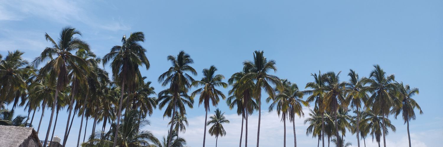 _FatimaRo's profile banner image